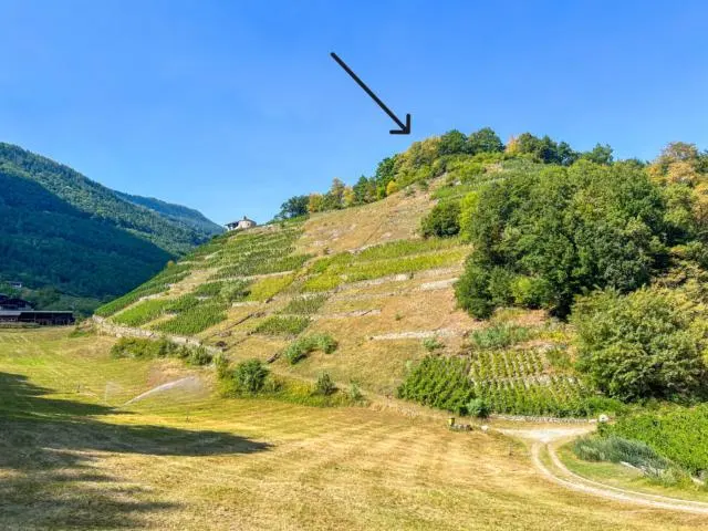 Terreno non edificabile · Martigny — 3