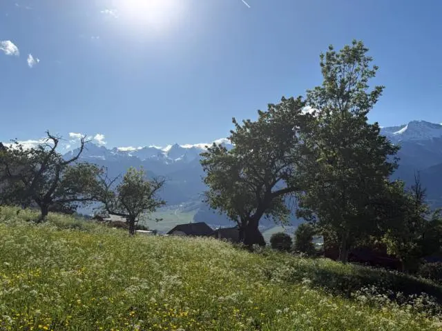 Wunderschönes neues Penthouse mit Panoramablick — 2