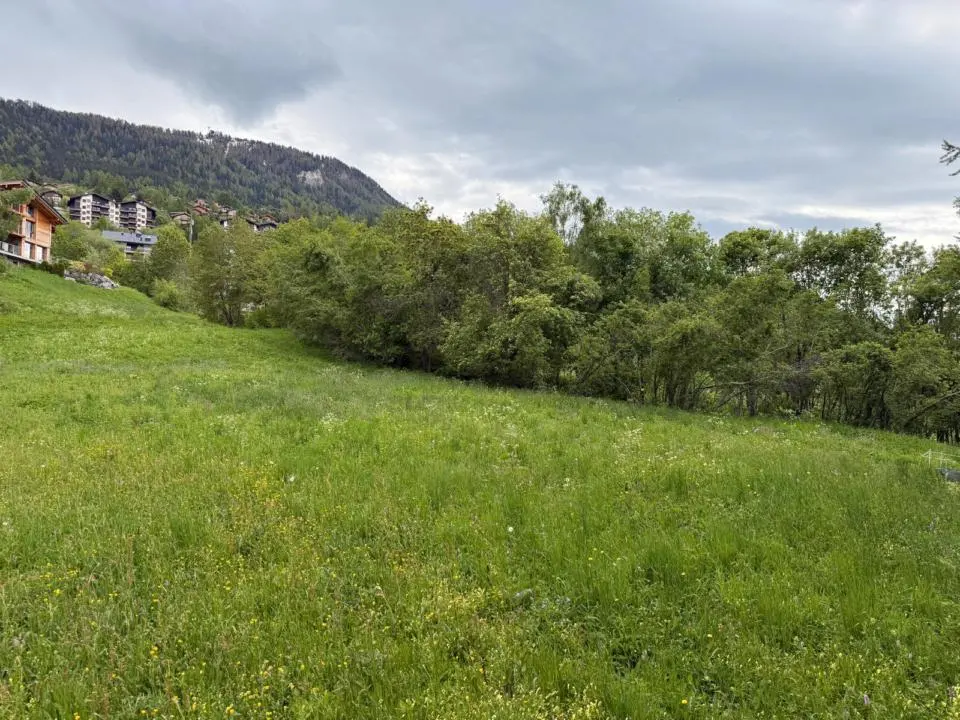 Lot de 2 belles parcelles au calme — photo 2