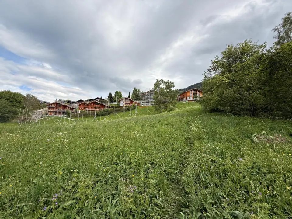 Lot de 2 belles parcelles au calme — photo 3