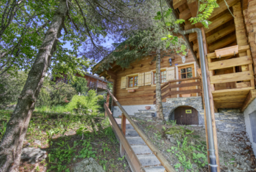 Authentic chalet with mazot nestled in a haven of peace