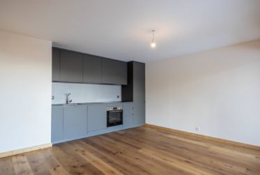 Magnifique appartement en rez-de-jardin au centre de la station