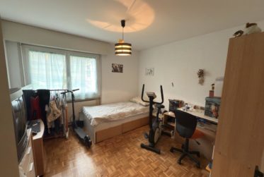 Pleasant 4.5-room apartment with balcony