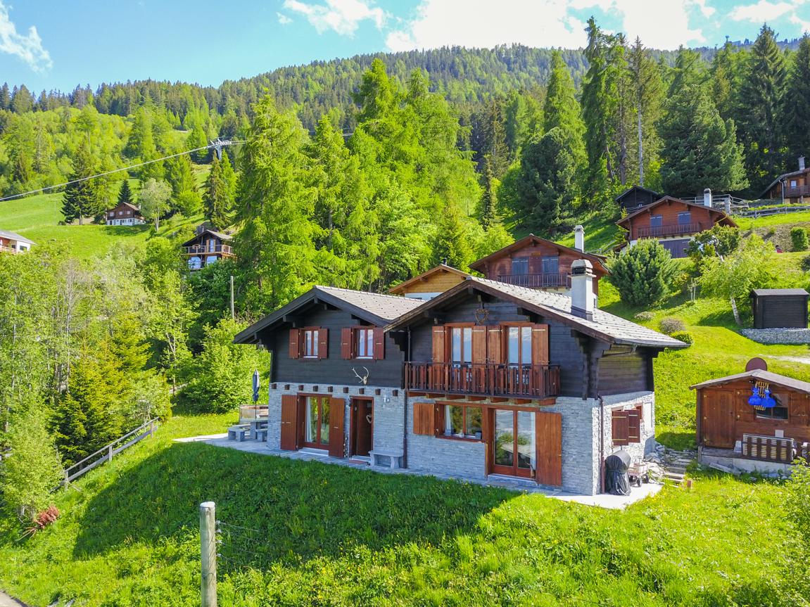 Chalet Ski In/Out