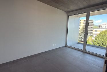 Prächtige Loftwohnung mit großem Balkon