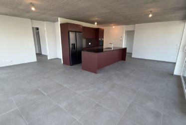Prächtige Loftwohnung mit großem Balkon