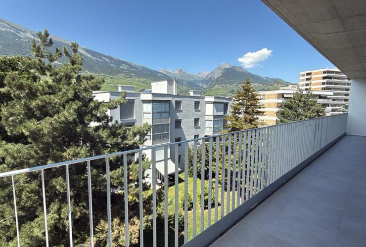 Magnificent loft apartment with large balcony
