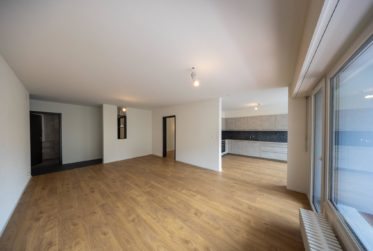 Completely renovated 4.5p flat