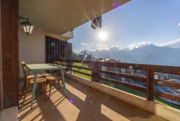 Charmant appartement aux pieds des pistes (ski in/out)