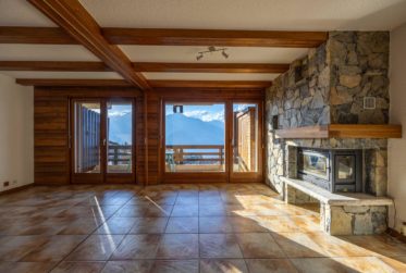 Charmant appartement aux pieds des pistes (ski in/out)