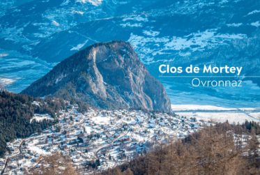 2.5 pièces neuf avec terrasse Sud et vue montagne