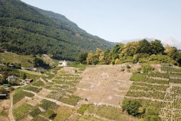 Historic and natural setting for exclusive events