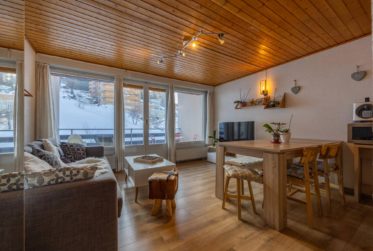 Magnifique appartement ski in/out