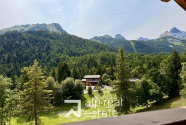 Transversing attic flat in the centre of the village