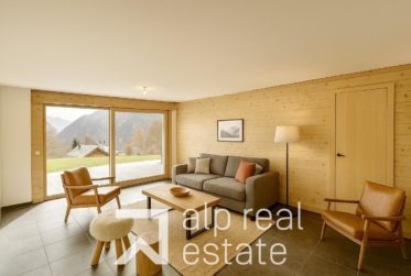 New 1-bedroom apartment with South-facing terrace and mountain views