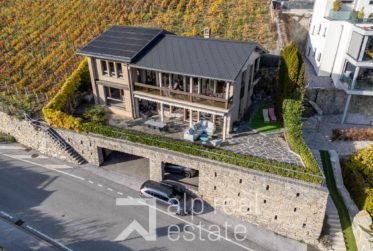 Architect-Designed Villa with Panoramic Views of the Castles