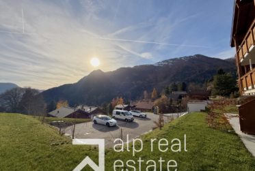 New 1-bedroom apartment with South-facing terrace and mountain views