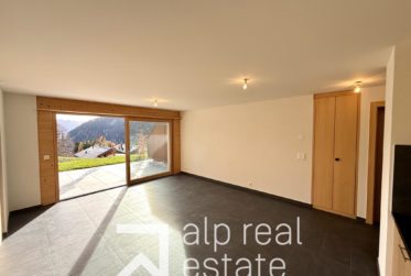 New 1-bedroom apartment with South-facing terrace and mountain views