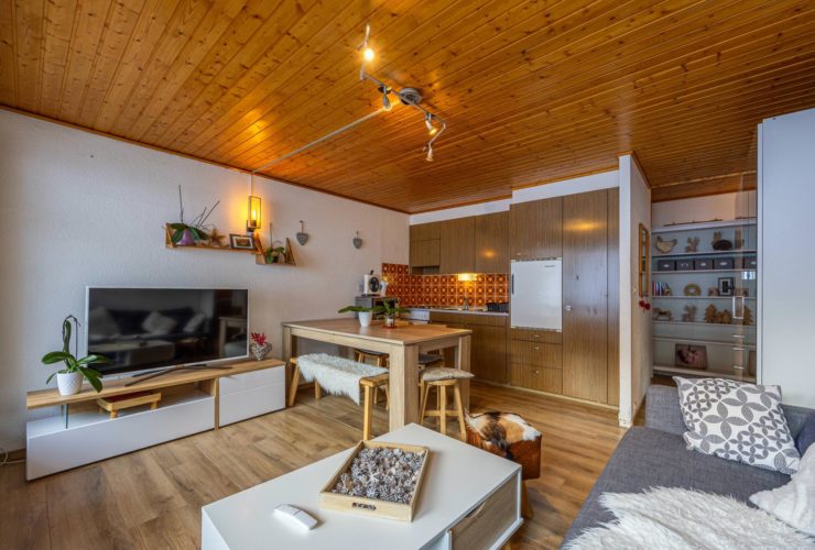 Magnifique appartement ski in/out