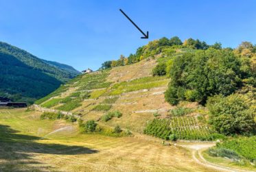 Historic and natural setting for exclusive events