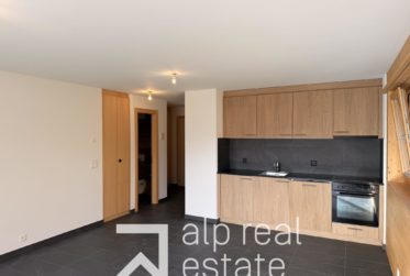 New 1-bedroom apartment with South-facing terrace and mountain views