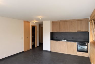 2.5 pièces neuf avec terrasse Sud et vue montagne