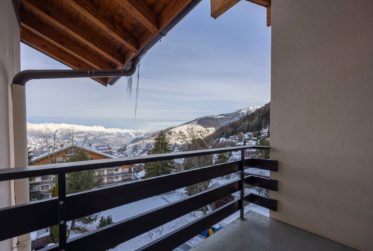 Magnifique appartement ski in/out