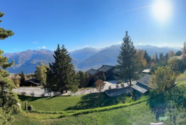 Wunderschönes Chalet aus altem Holz für Ihren Hauptwohnsitz