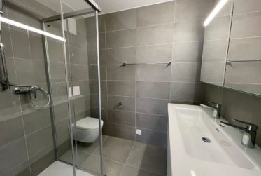 Prächtige Loftwohnung mit großem Balkon