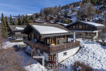 Attraktives Chalet in ruhiger Wohnlage