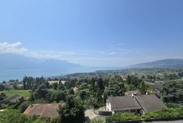 Beautiful apartment with terrace and lake view