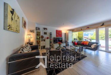 Charmant appartement au bord de la Drance