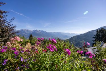 Beautiful chalet with panoramic view