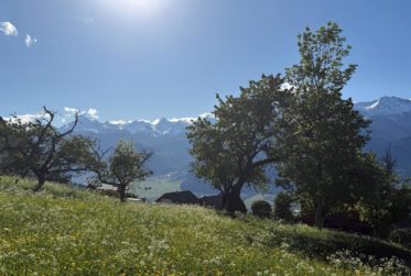 Wunderschöne Neubauwohnung mit Panoramablick