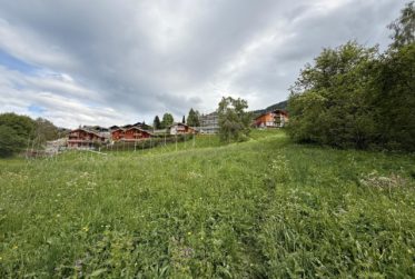 Lot von 2 wunderschönen Grundstücken