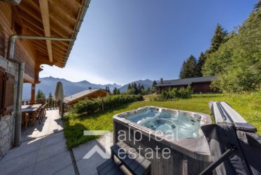 Wunderschönes Chalet mit Wellnessbereich