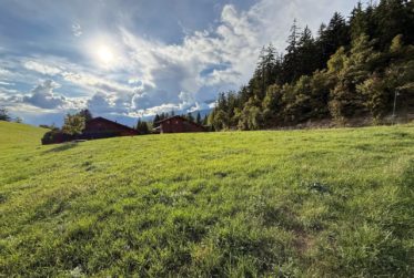Überbauung Reflet des Alpes – Chalet Murmure de la Forêt