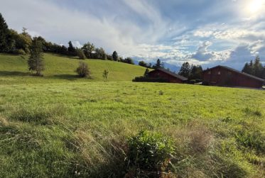 Überbauung Reflet des Alpes – Chalet Murmure de la Forêt