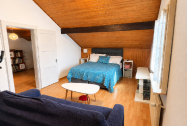 Charmante maison avec extérieur au cœur d'Aproz